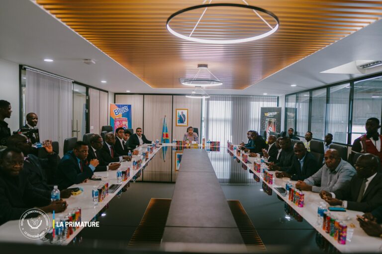 RDC : le gouvernement fait le point sur l’avancement des Zones économiques spéciales